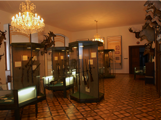 MUSEUM OF THE BLANÍK REGION IN VLAŠIM